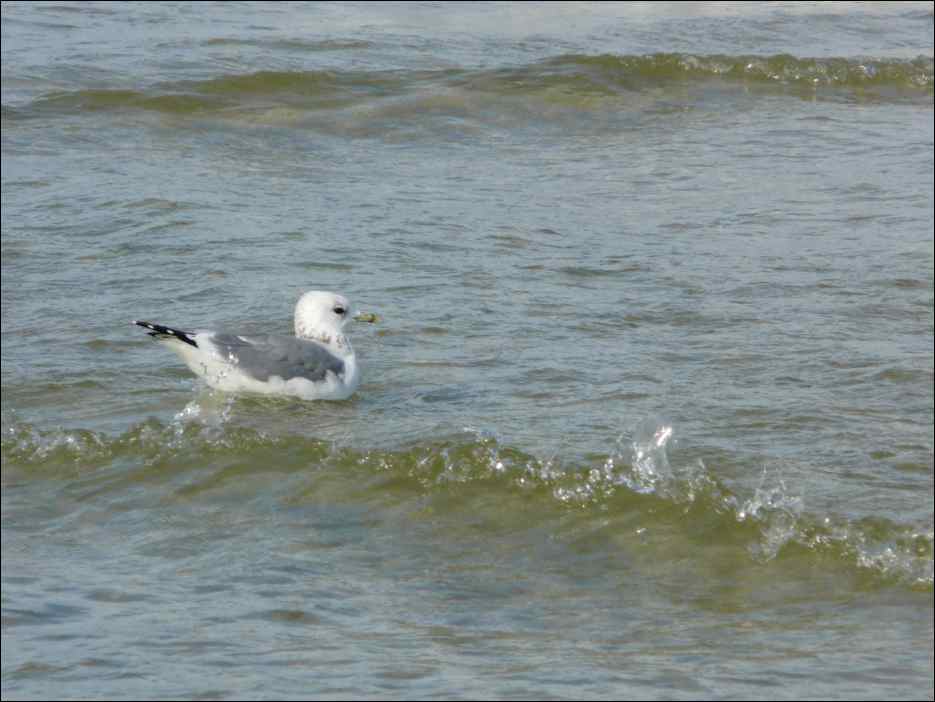 P1050192