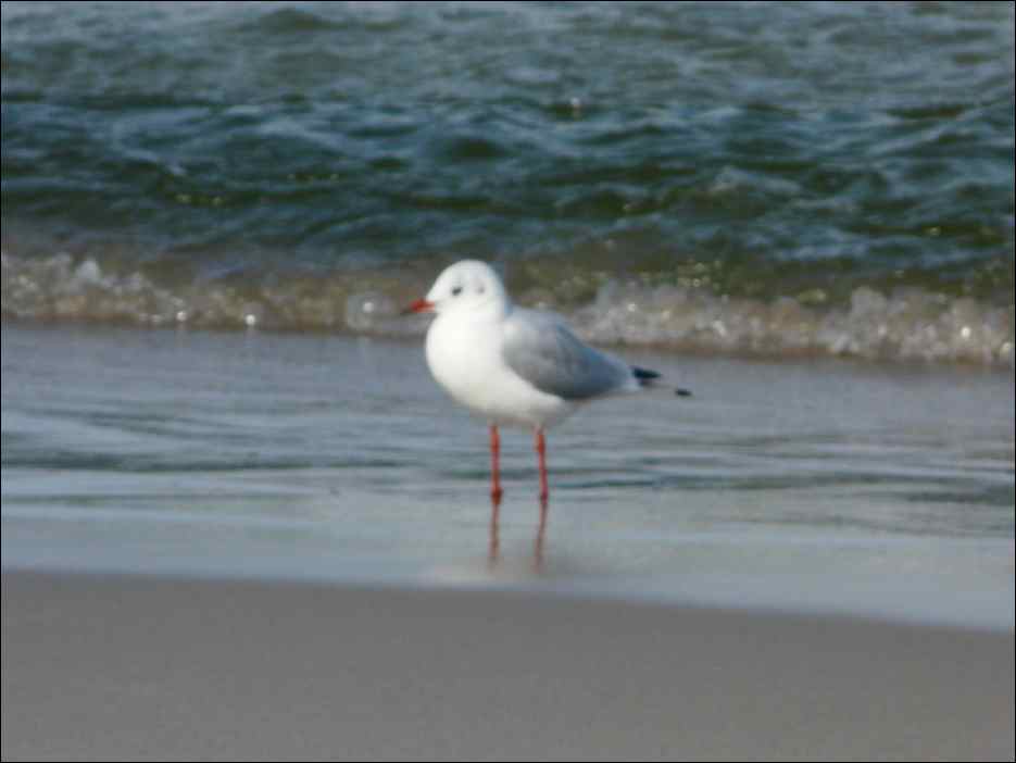 P1050206
