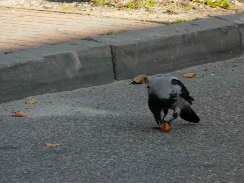 P1050261