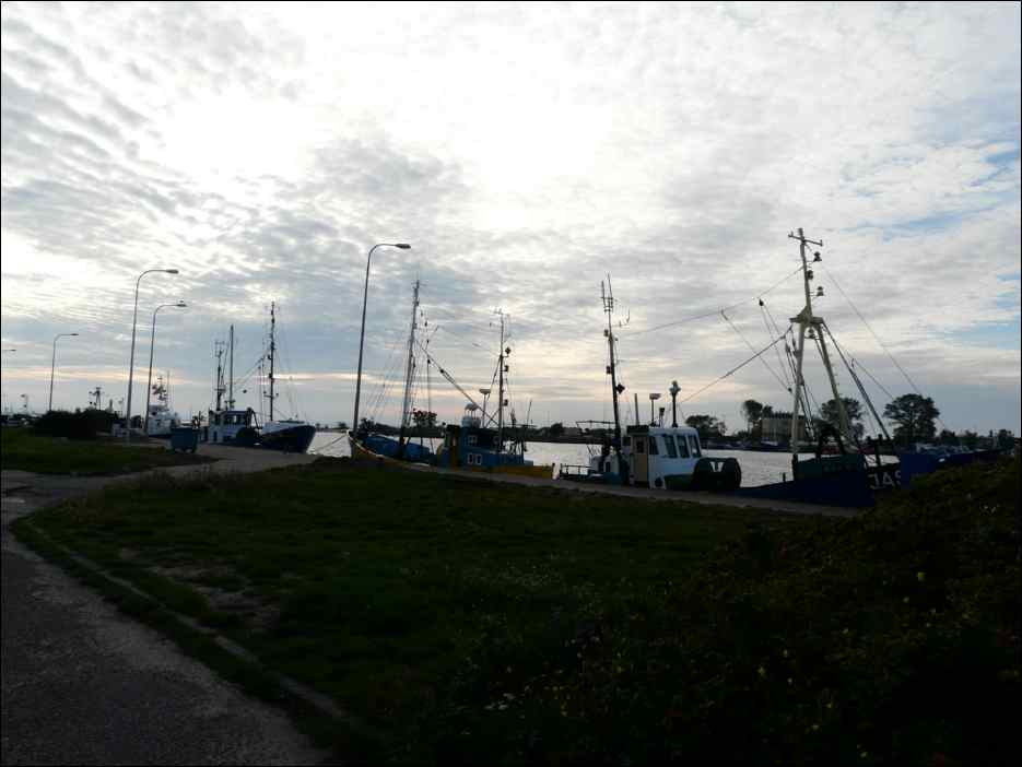 P1050285