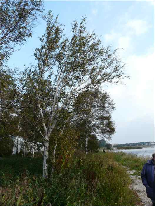 P1050484