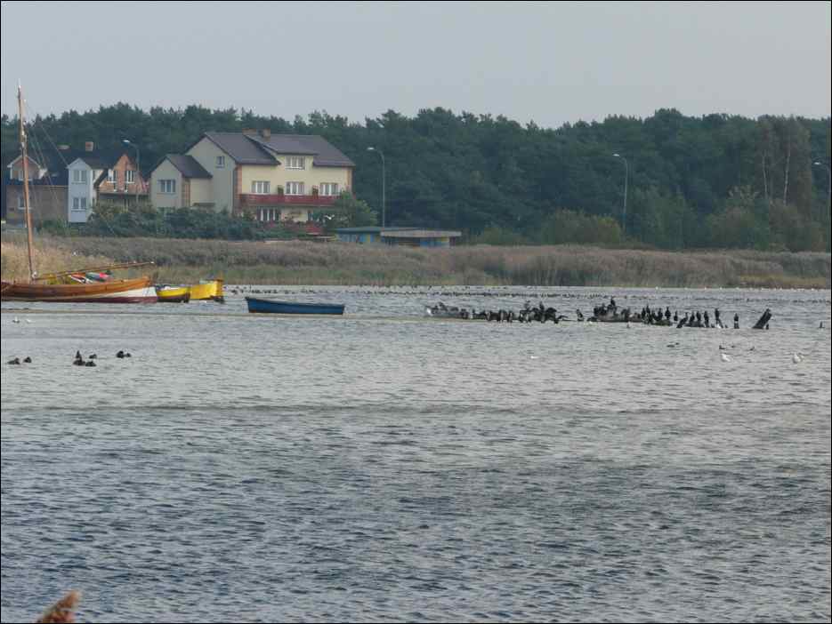 P1050486