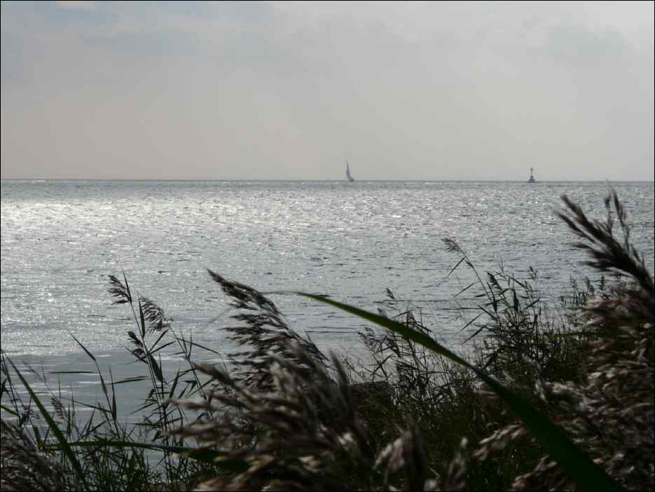 P1050488