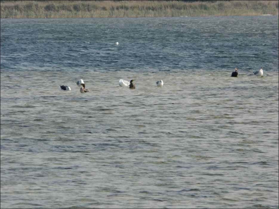 P1050489