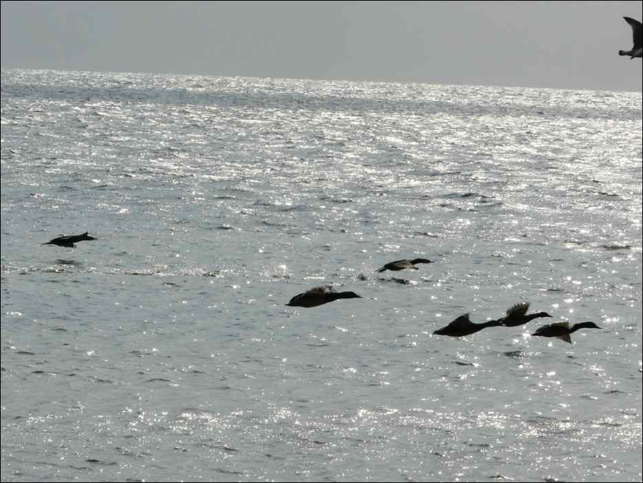 P1050494