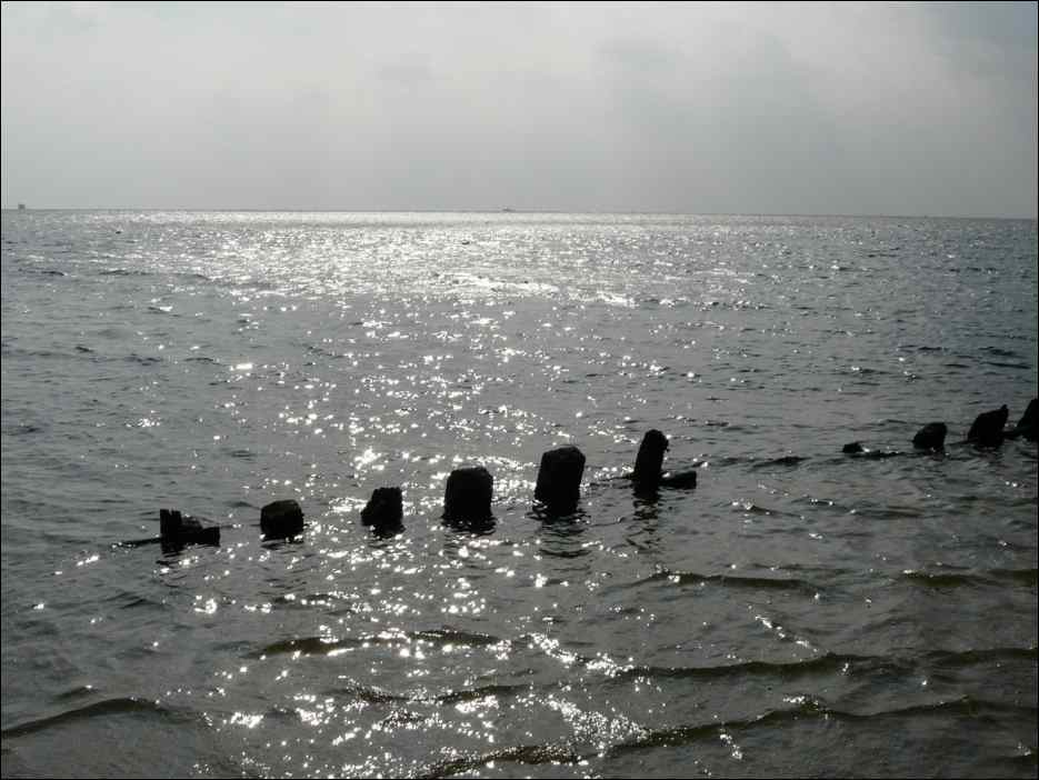 P1050504