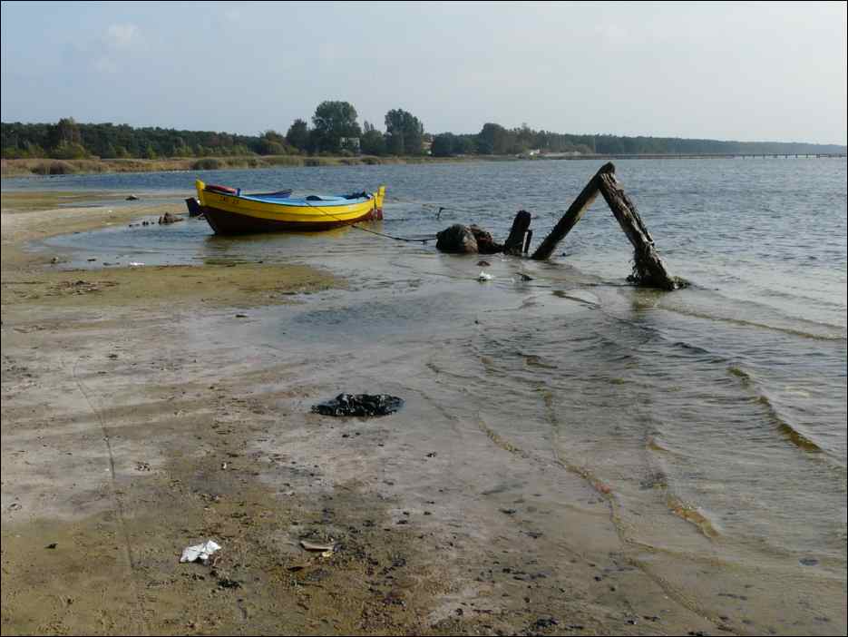 P1050508