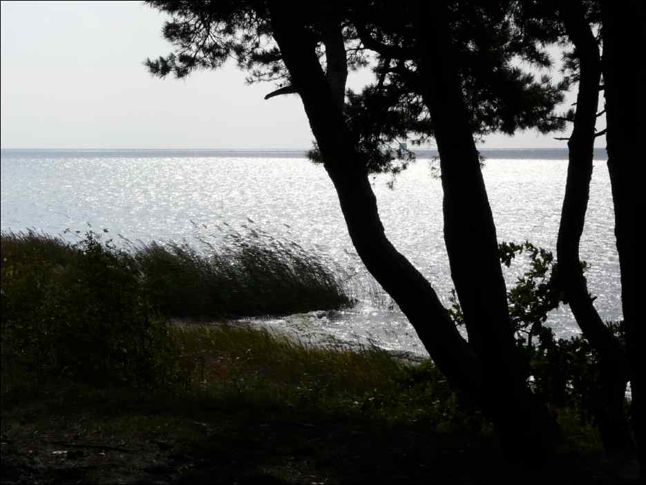 P1050523