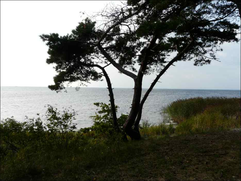 P1050524