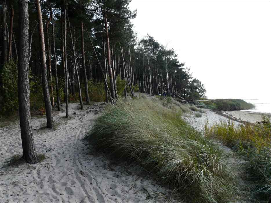 P1050526
