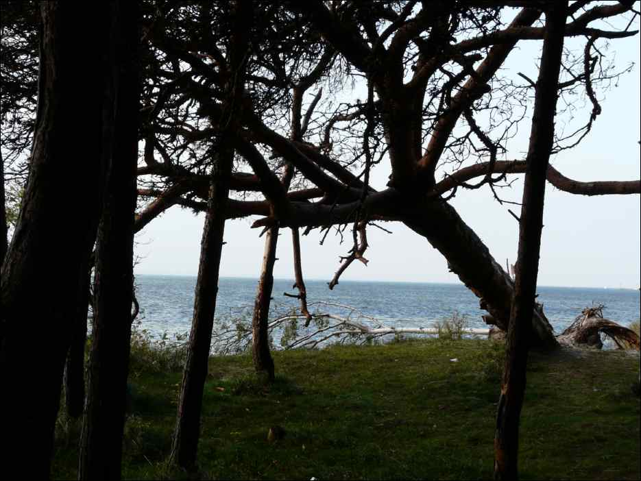 P1050529
