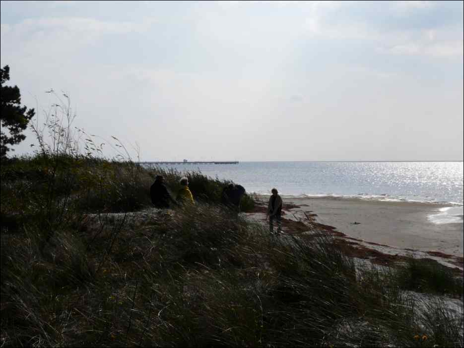 P1050531