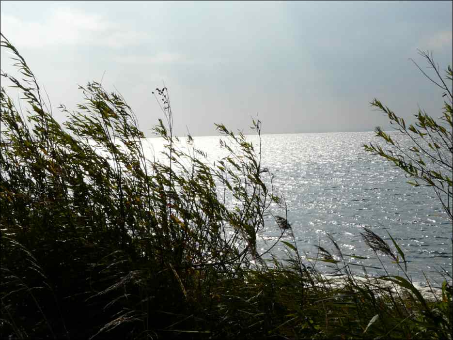 P1050534