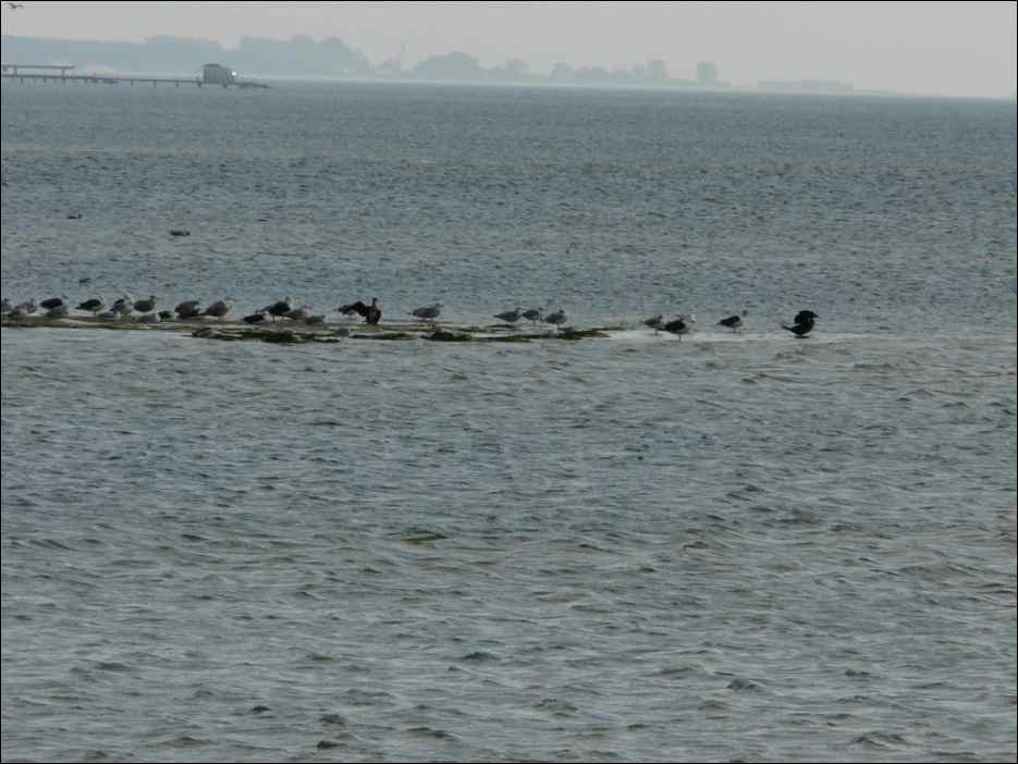 P1050549