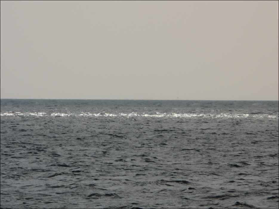 P1050557