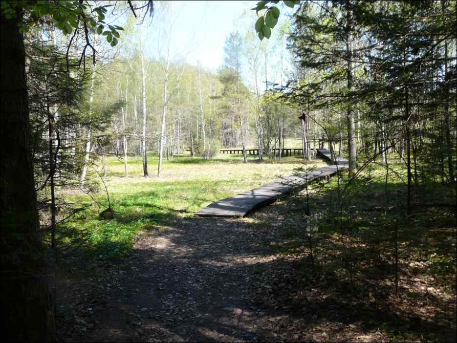 P1090310