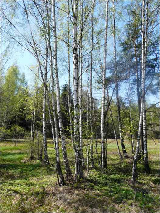 P1090317