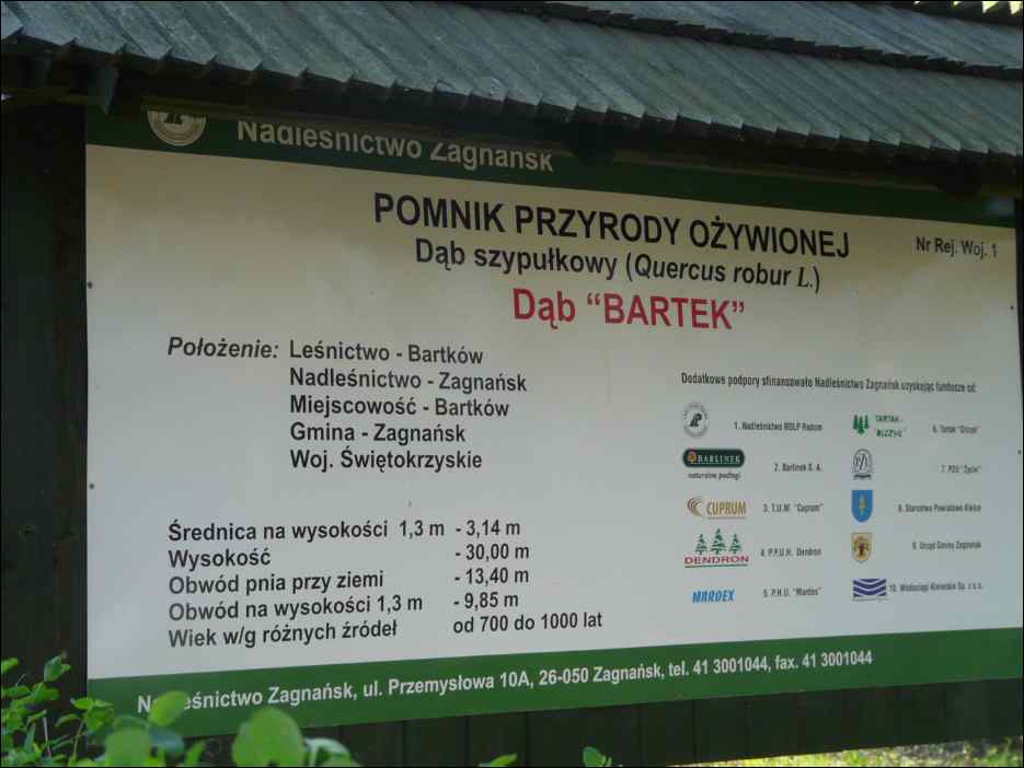 P1090335