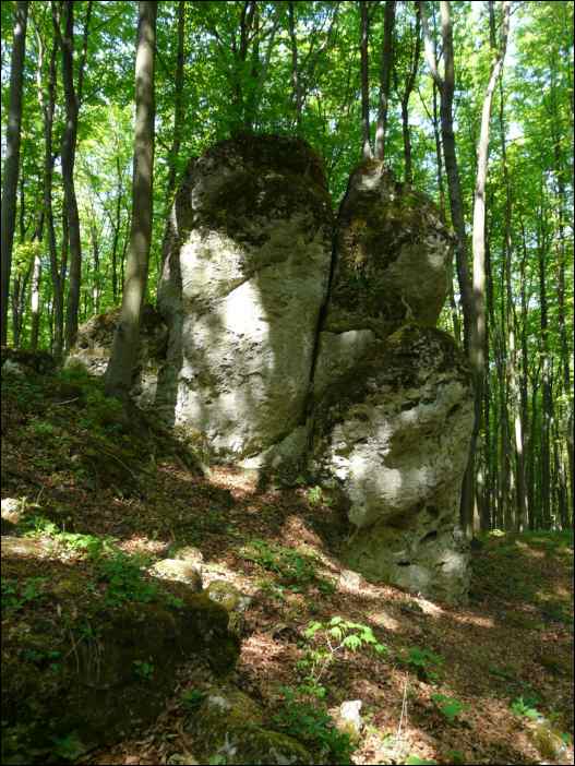 P1090455