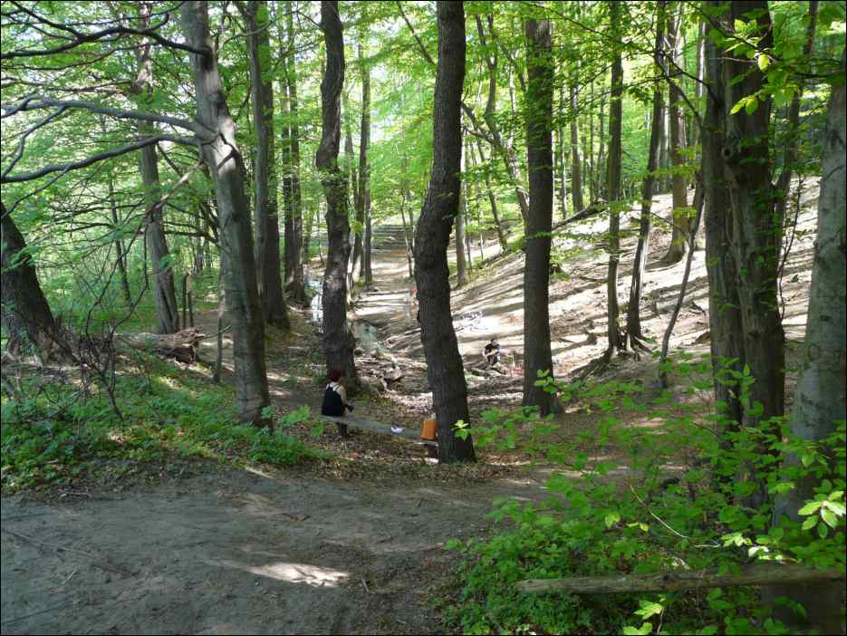 P1090463