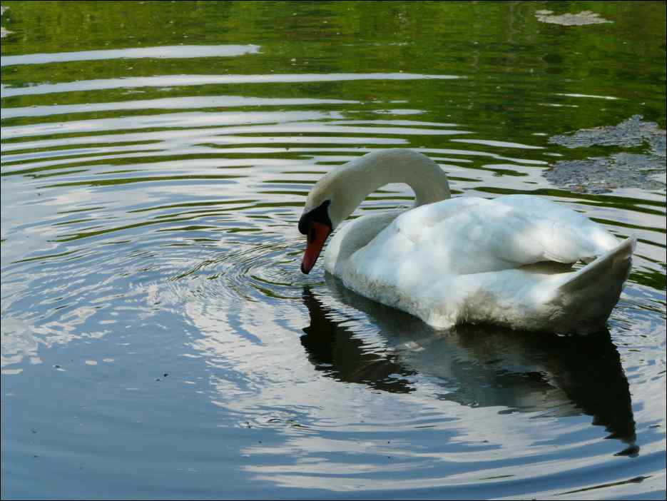 P1090467