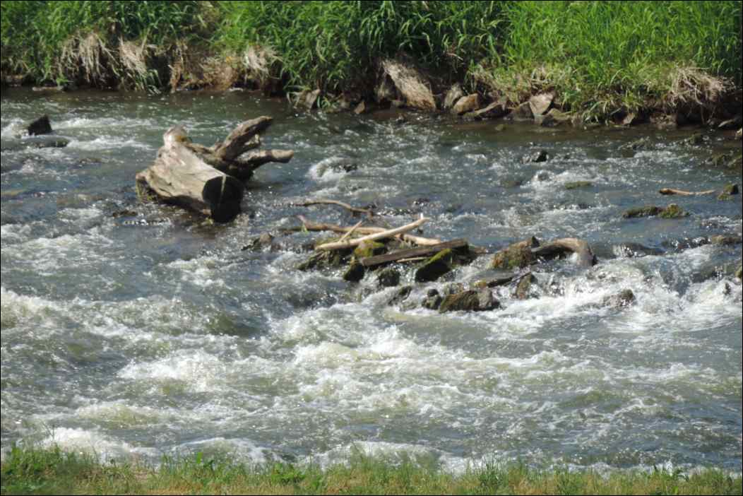 DSCN2129