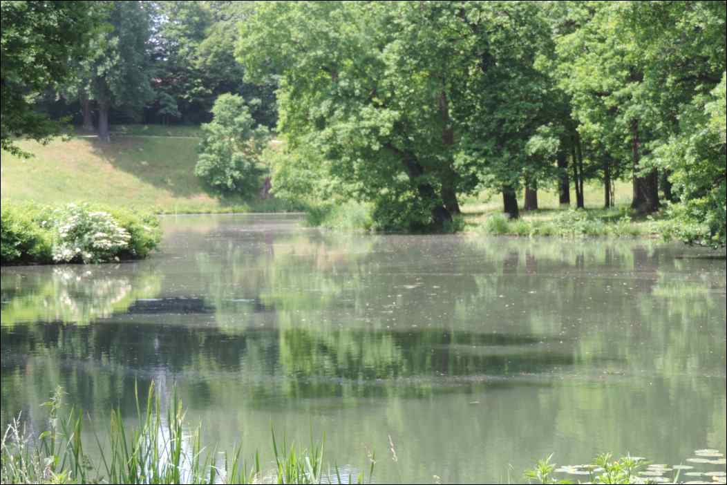 DSCN2150