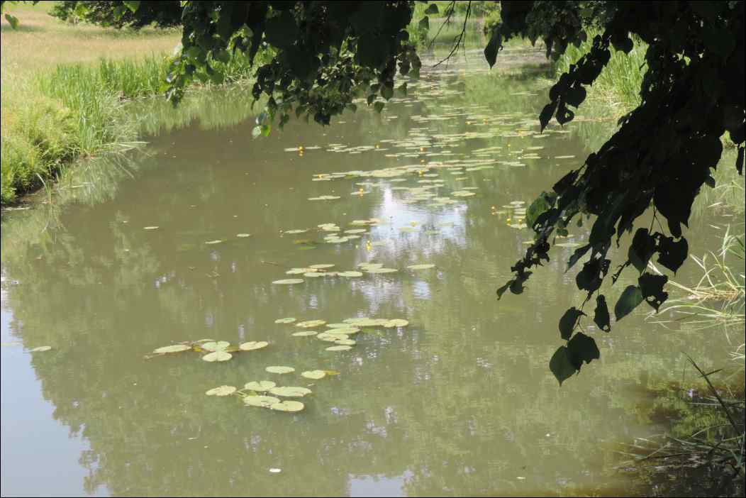DSCN2154