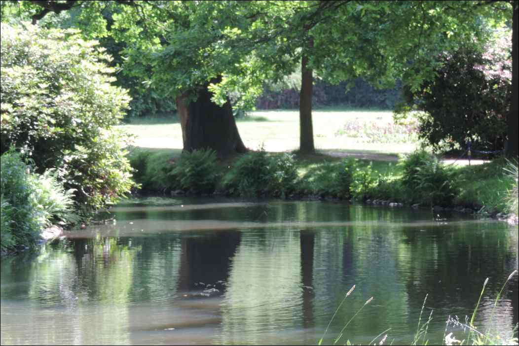 DSCN2160