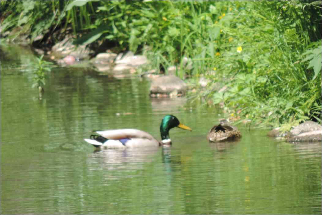 DSCN2164