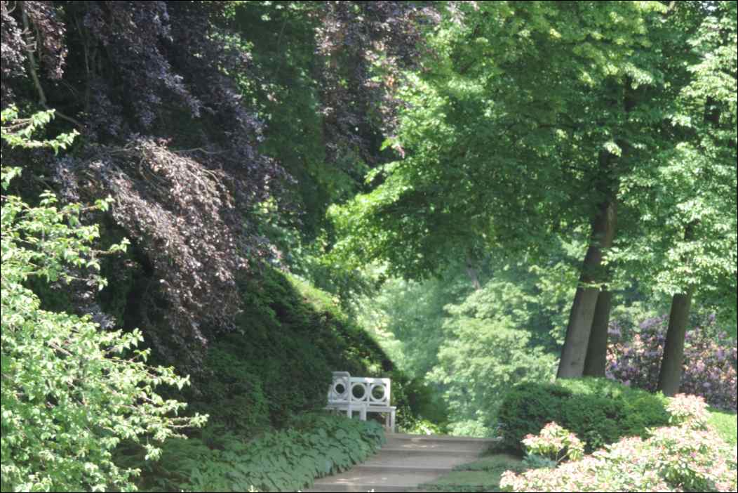 DSCN2181
