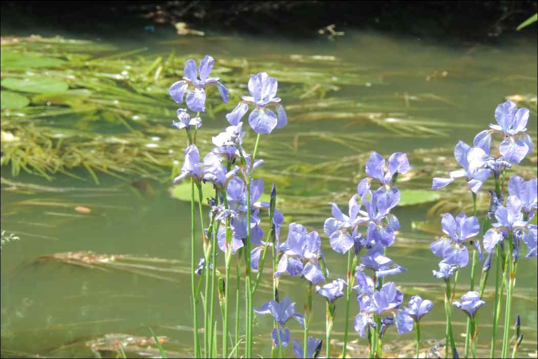 DSCN2186