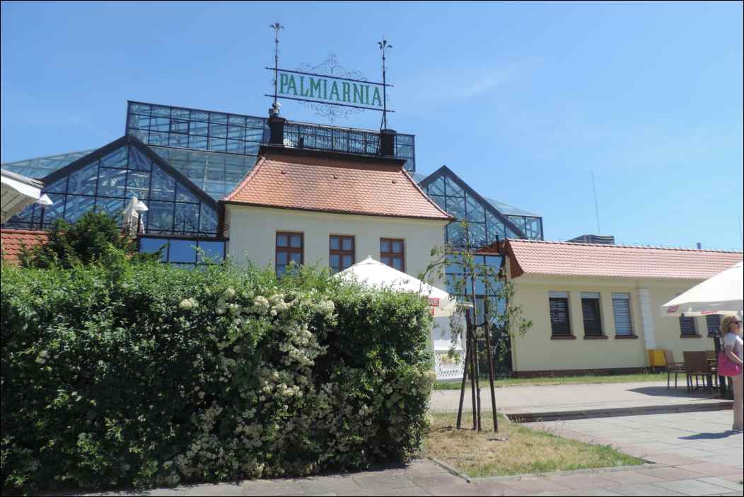 DSCN2290