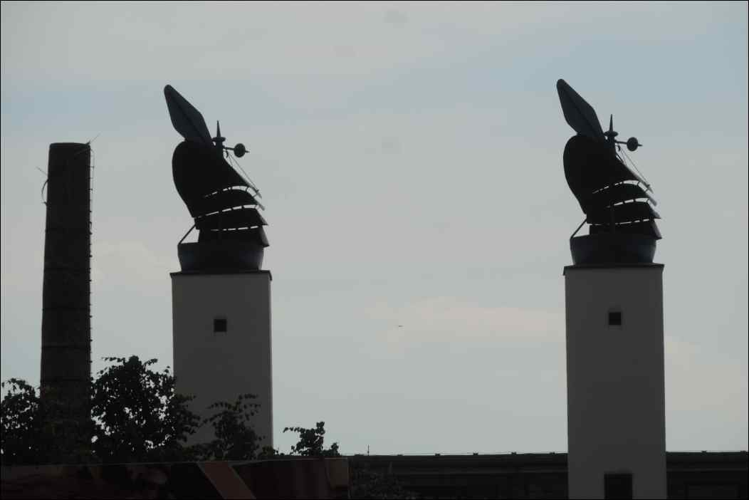 DSCN2339