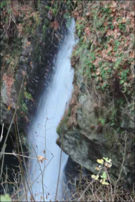 DSCN2854
