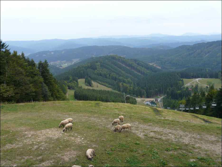 P1100191