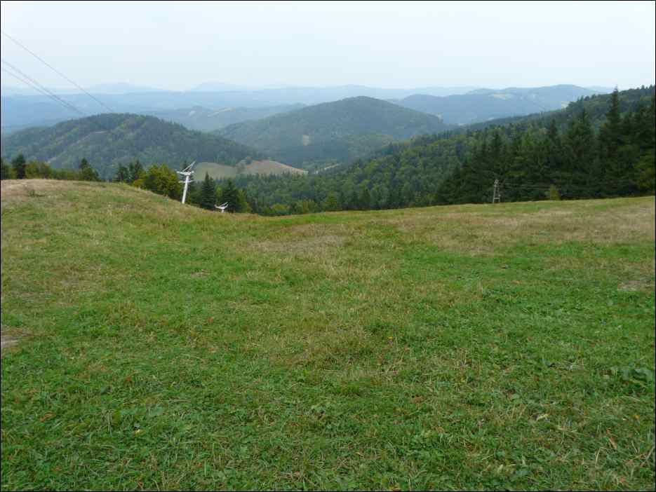 P1100196