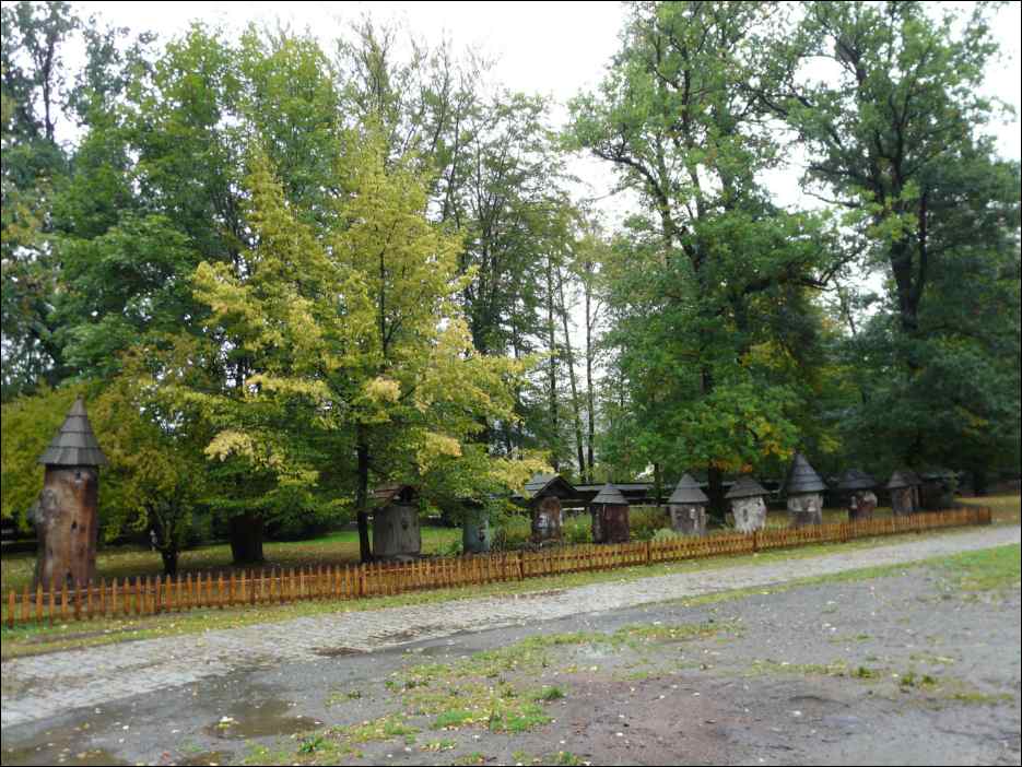P1100228