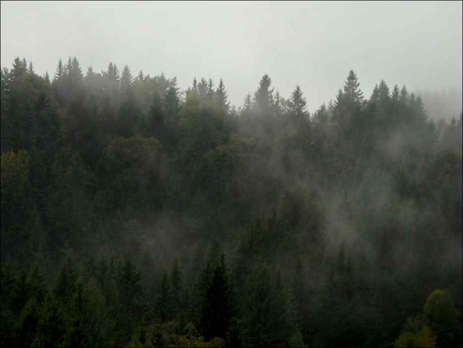 P1100236