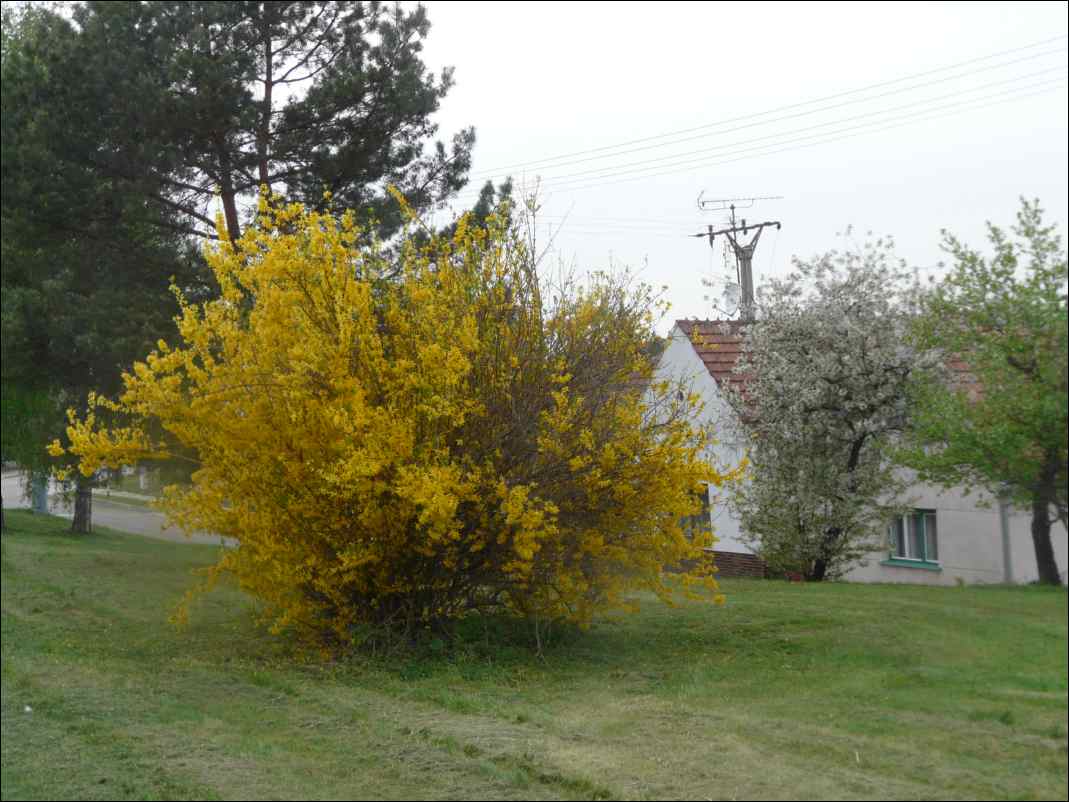 P1110557
