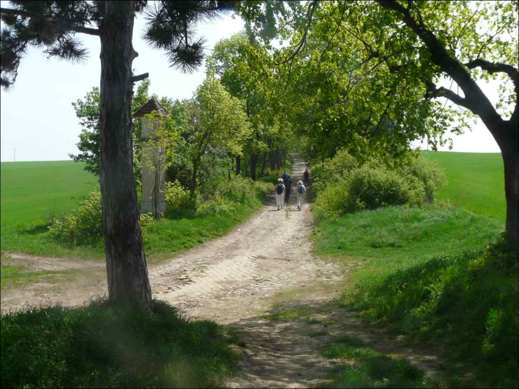 P1110581
