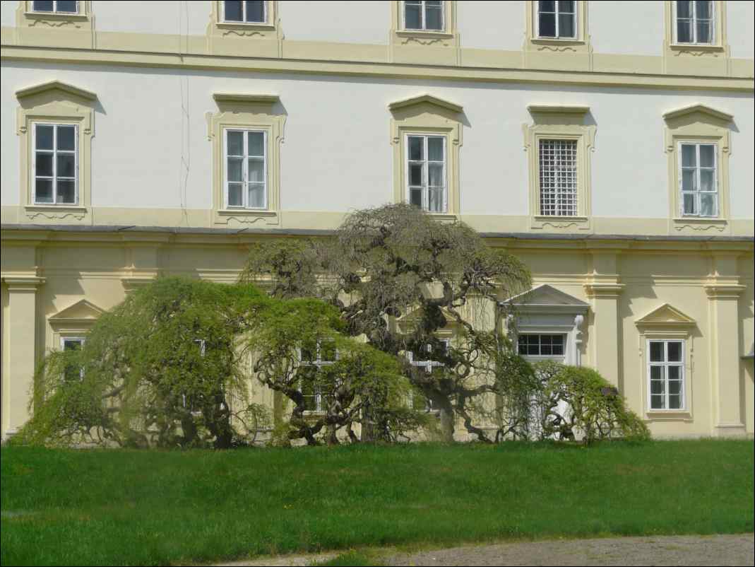 P1110587