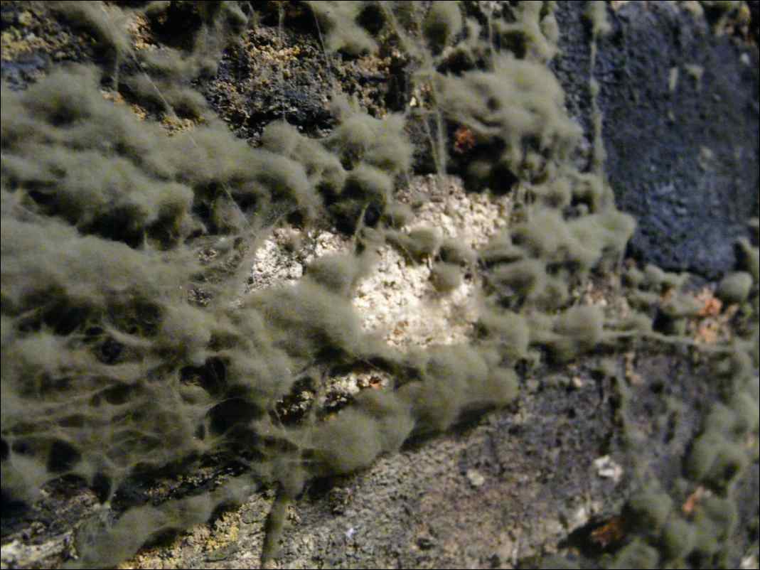 P1110743