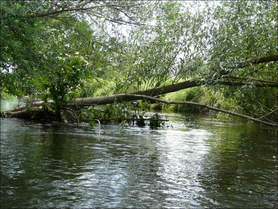 P0177