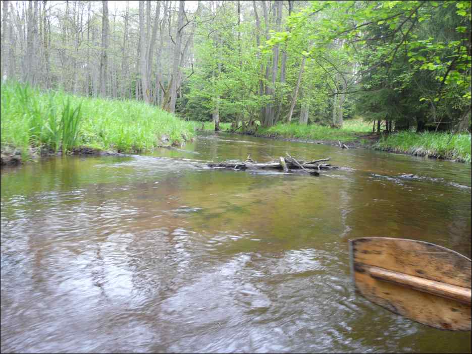 P1070393