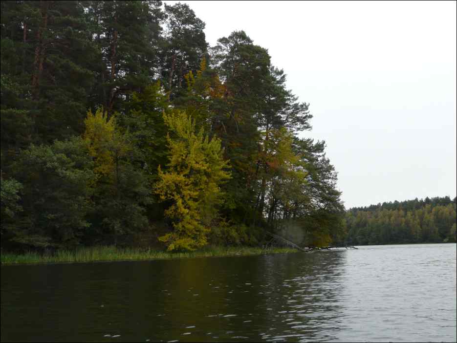 P1140287