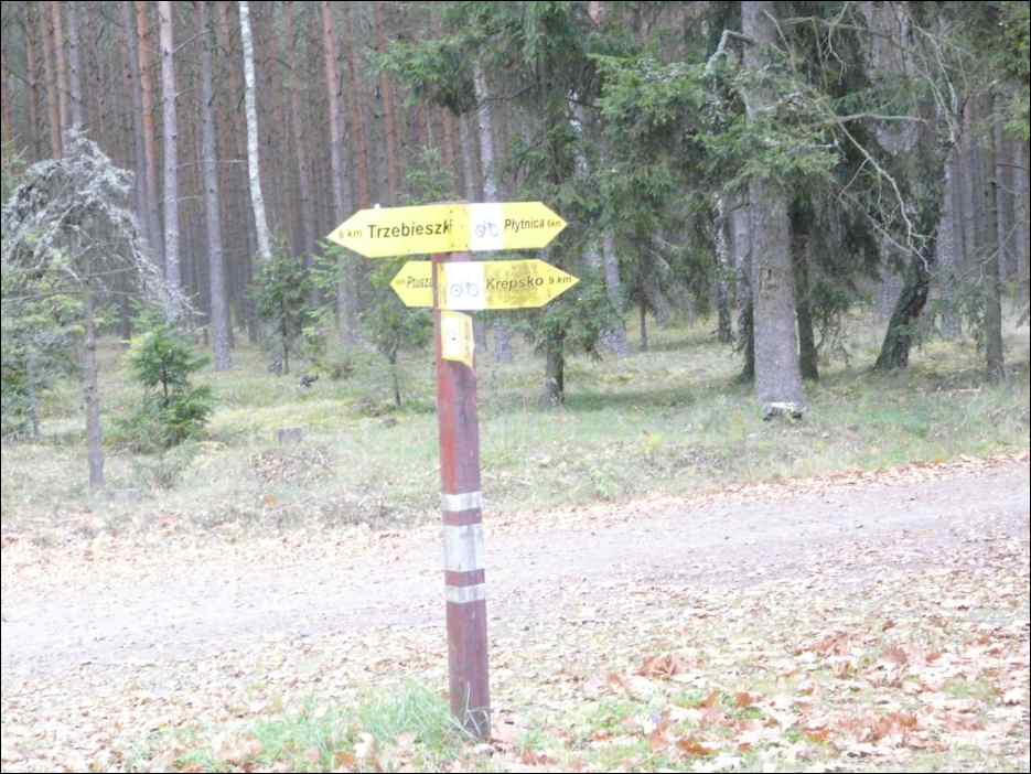 P1140359