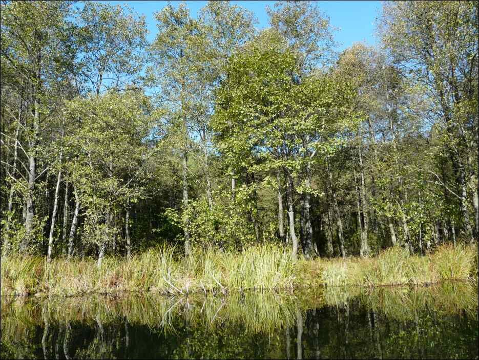 P1140383