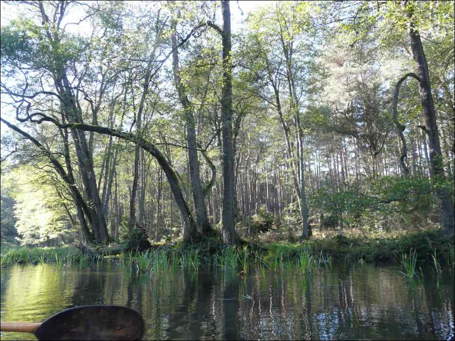 P1140388