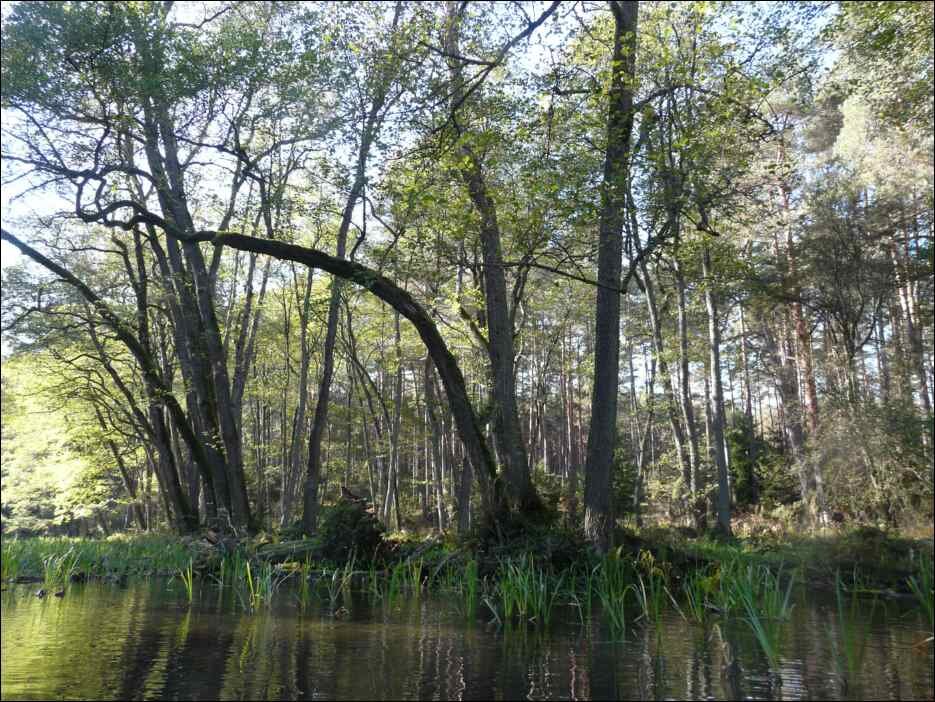 P1140389